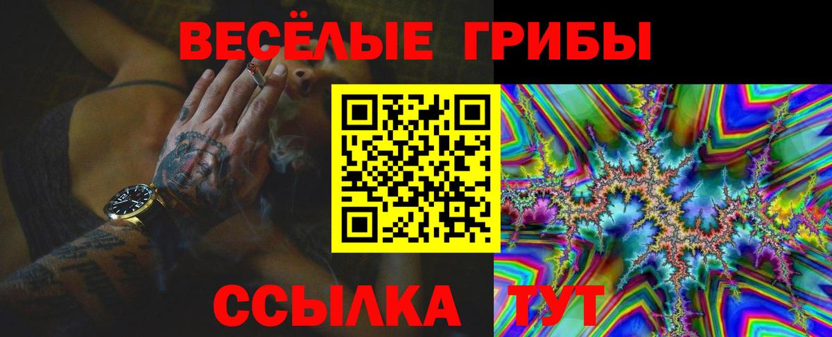 Галлюциногенные грибы прущие грибы  Вход с VPN  Галлюциногенные грибы MAGIC MUSHROOMS  Мурманск 